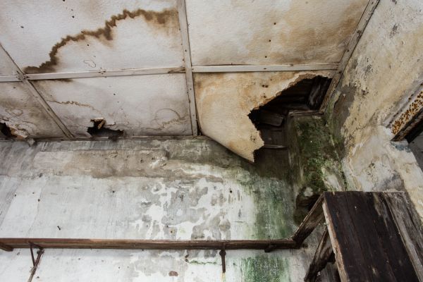 Water Damage Service in South Lyon