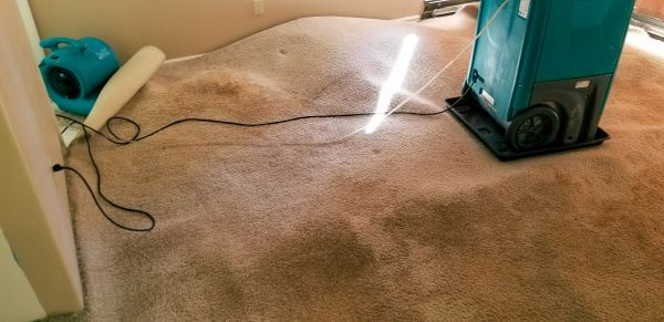Flood Damage Cleanup in South Lyon