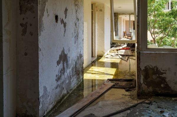 Water Removal Service in South Lyon