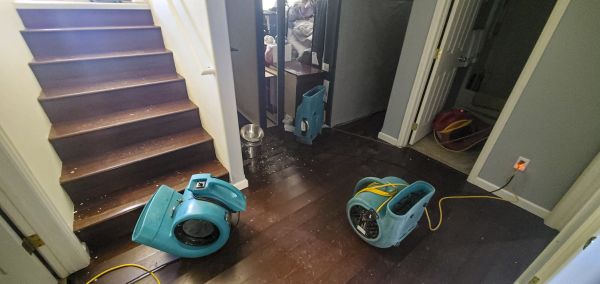 Water Damage Remediation in South Lyon