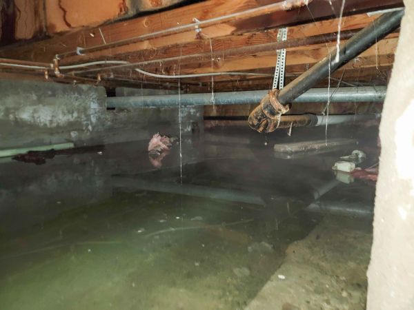 Water Mitigation Service in South Lyon