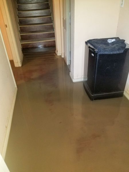 Emergency Water Removal in South Lyon