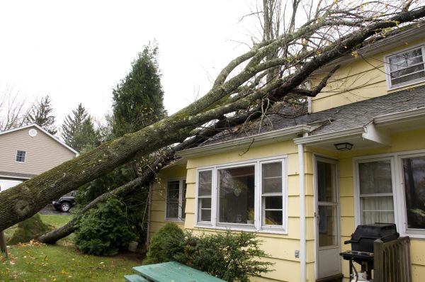 Hurricane Damage Repair in South Lyon